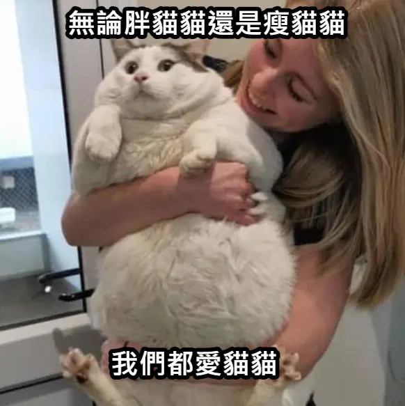 這也是防止變異的一個案例,我們愛貓貓,無論是胖貓貓還是瘦貓貓.
